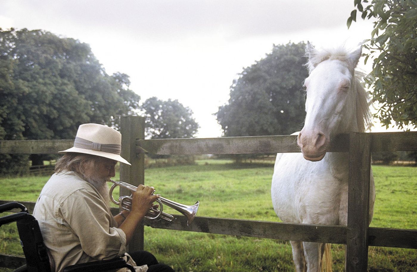 Robert Wyatt, el gigante de la voz de elfo. Foto: Alfie Wyatt